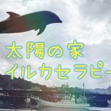 保護中： 太陽の家　【イルカセラピー体験🐬】
