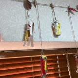 保護中： 【写真館】　太陽II