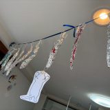 保護中： 9月の様子🐇