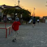 保護中： 11月の様子🍂