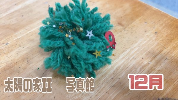 【写真館】太陽II🎄12月の様子