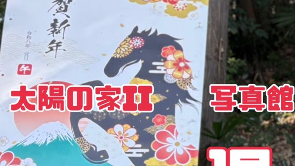 保護中： 太陽II【写真館】一月