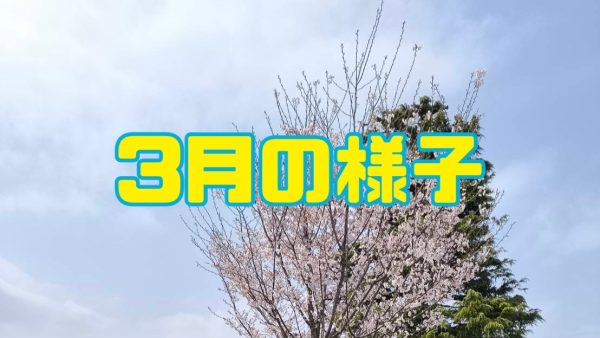 3月の様子🌸