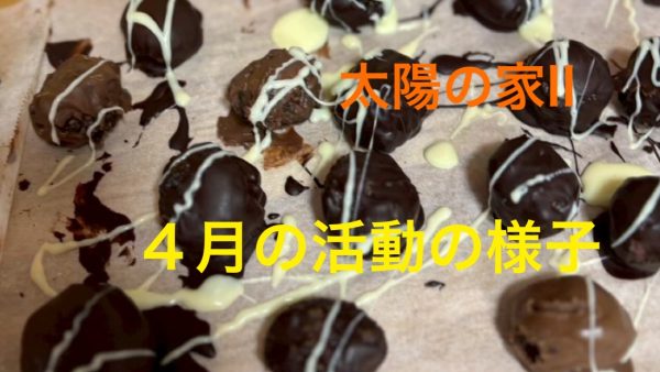 太陽II🌞4月の活動