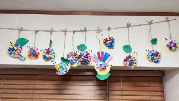 太陽II🎏5月の活動の様子