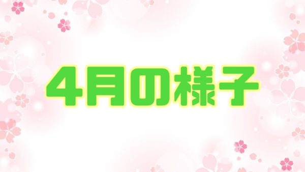 4月の様子🌸